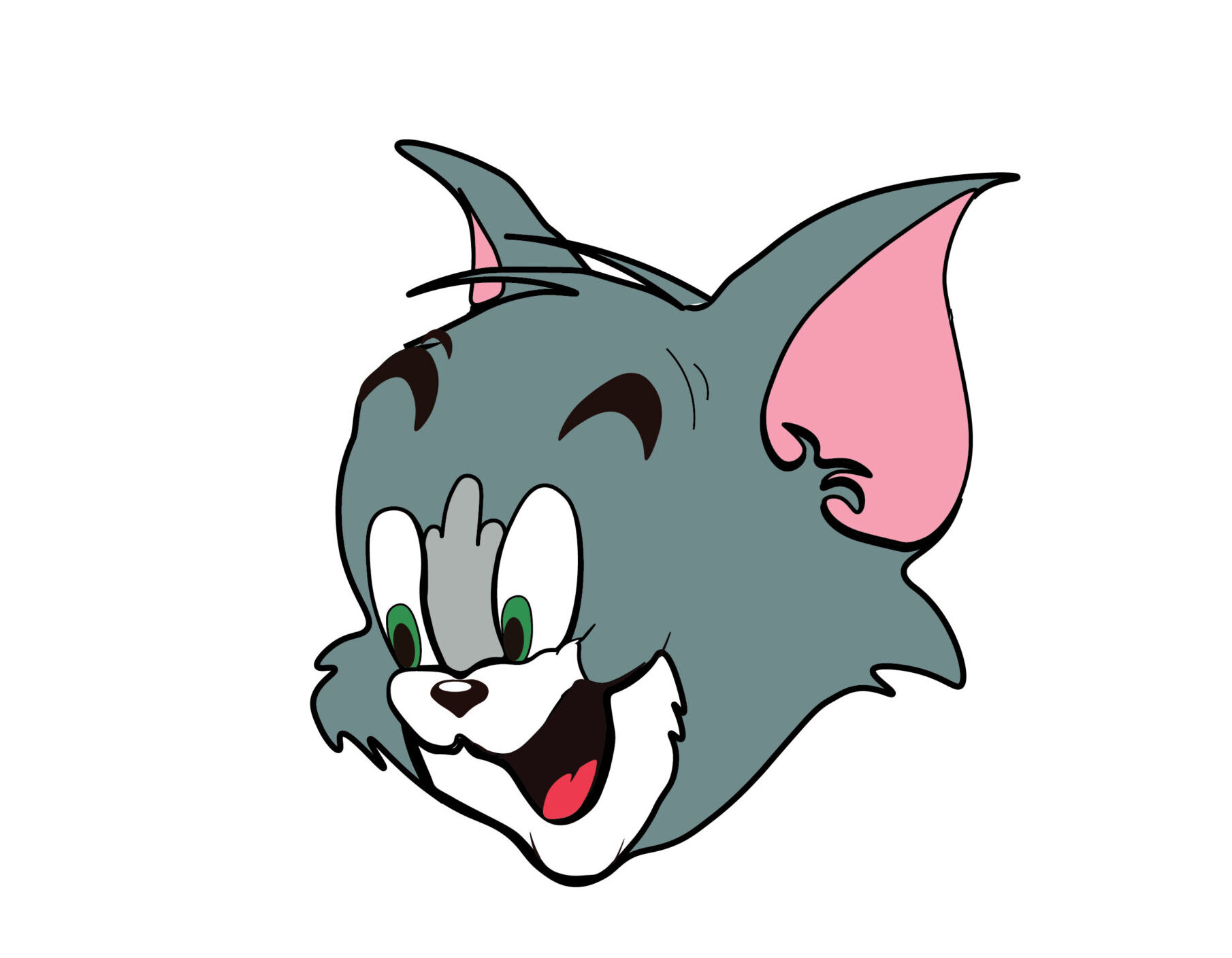 An image of Tom Cat.